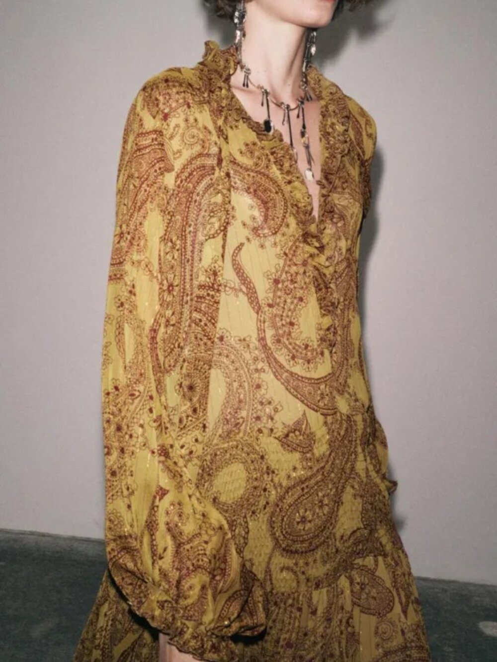 ZARA Long Sleeve Paisley Dress ZW Collection Size M $179 NWT * See description - Picture 2 of 15